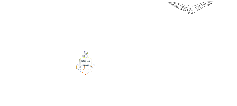 EPCAR-CN